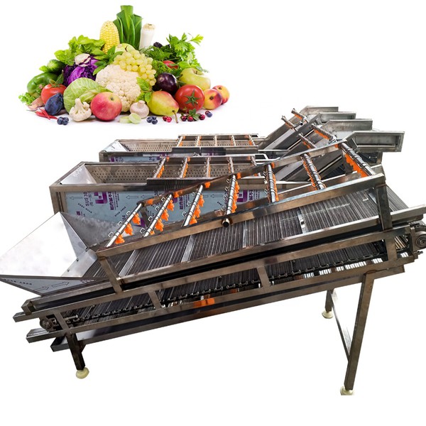 fruit and vegetable cleaning machine fruit and vegetable cleaning machine