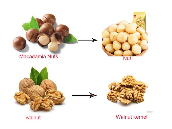 walnut shell removal machine walnut shell removal machine
