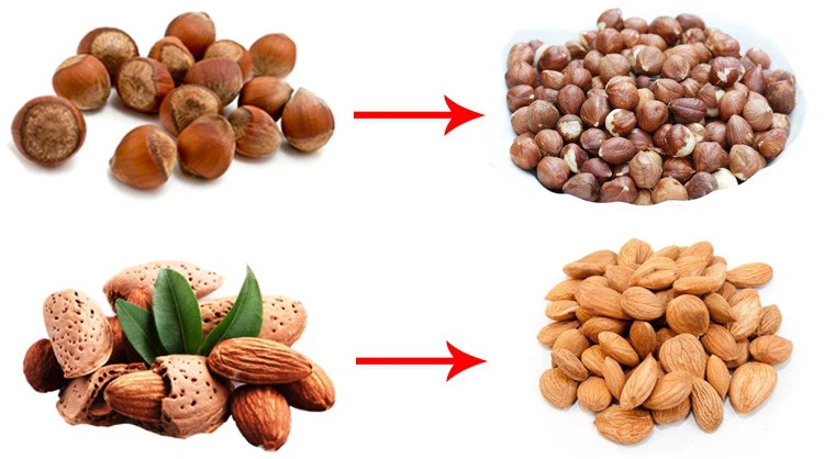 Almond Processing Equipment Almond Processing Equipment