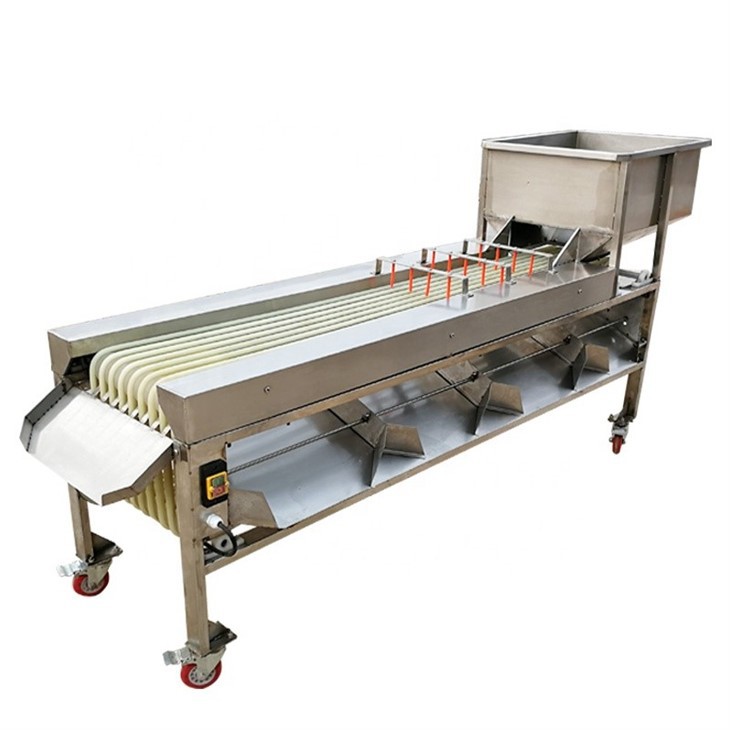 Apple Sorting Equipment