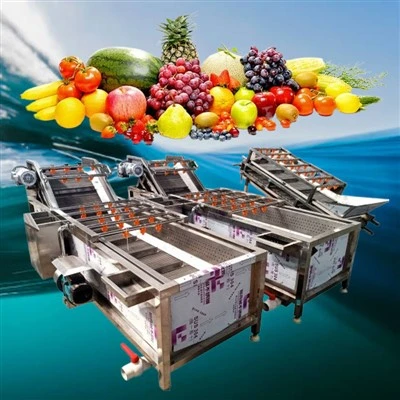Pencuci Buah Perindustrian